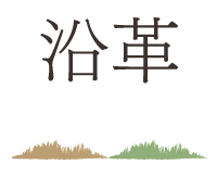 沿革